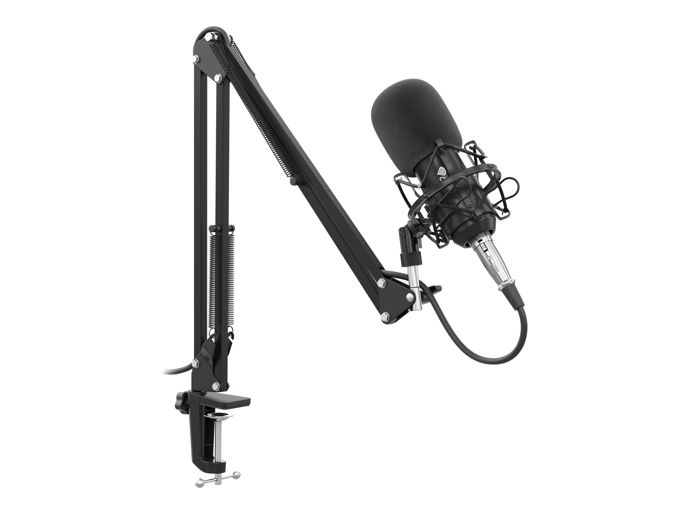 Gaming Mikrofon RADIUM 300 XLR