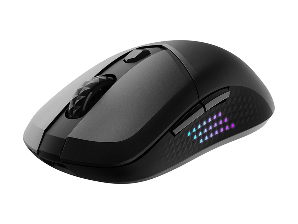 VERSA 300 Elite W     WIRELESS Gaming Maus