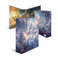 Ordner A4 Karton Fantasy Unicorns