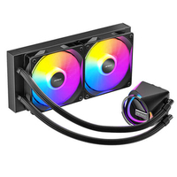 WAK SKELETON  240 ARGB  Liquid Cooler  All-in-One   Black retail