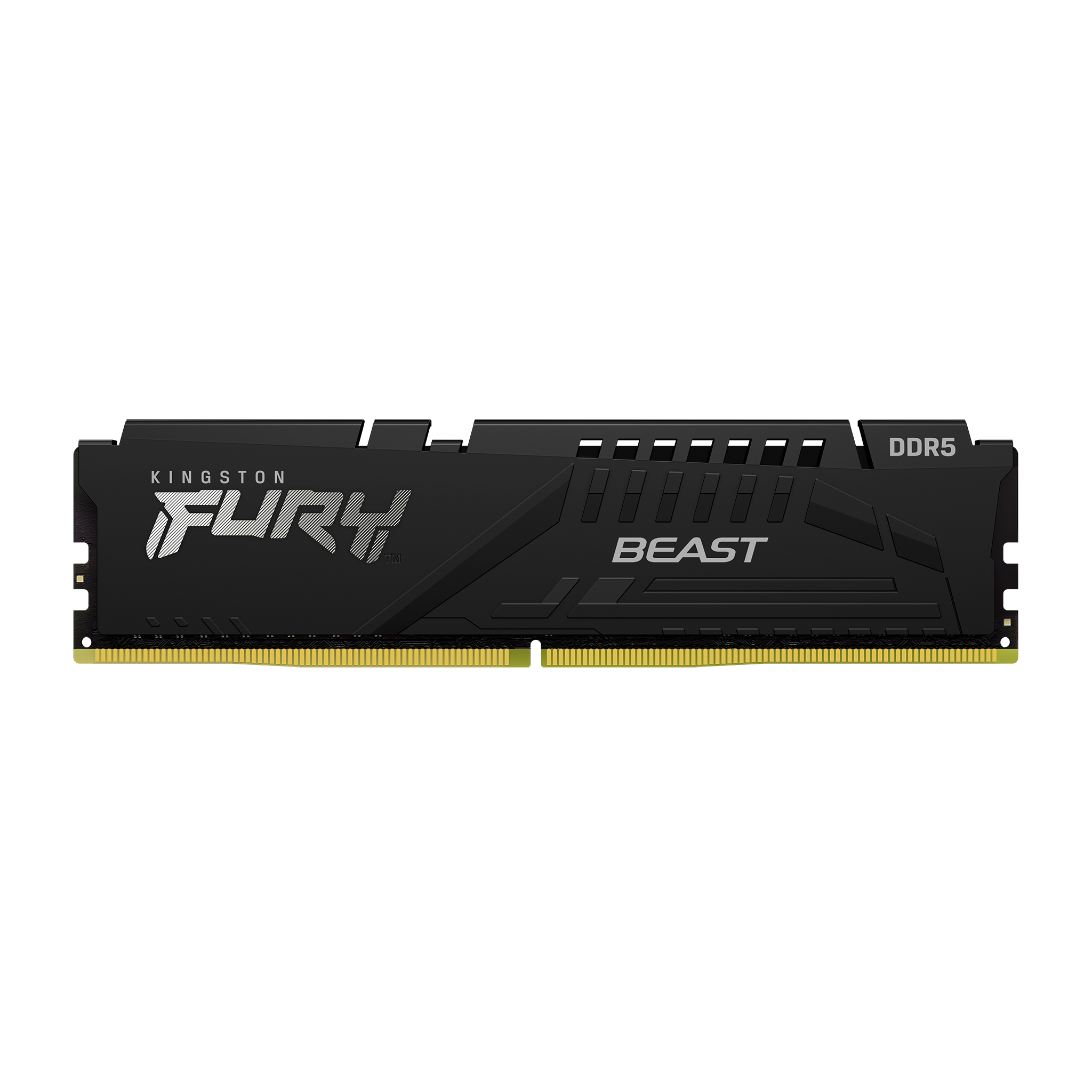 16GB 5600 DDR5 DIMM FURY Beast Black