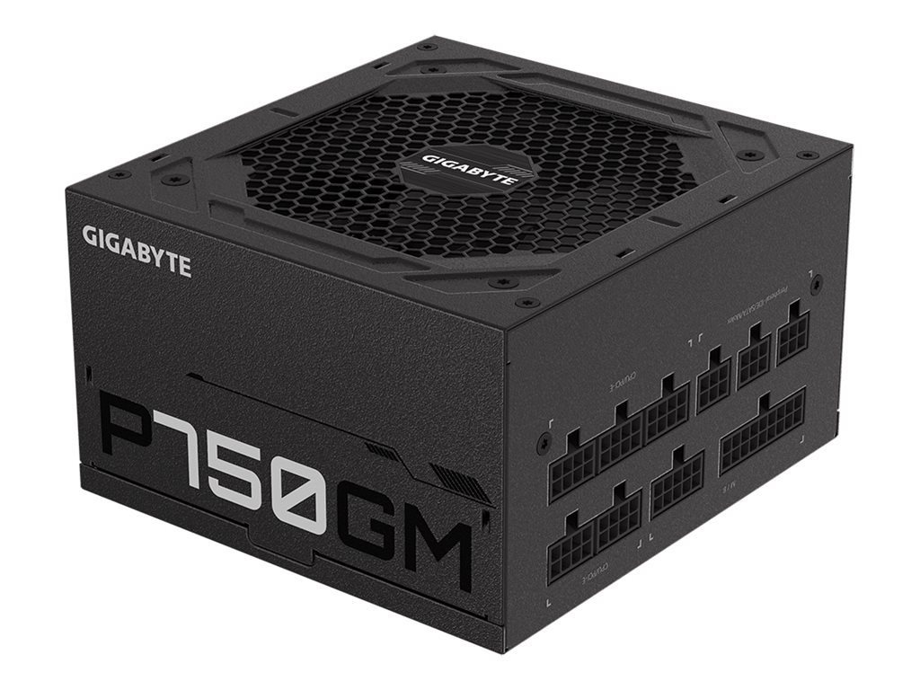 P750GM - Netzteil (intern) - ATX12V 2.31