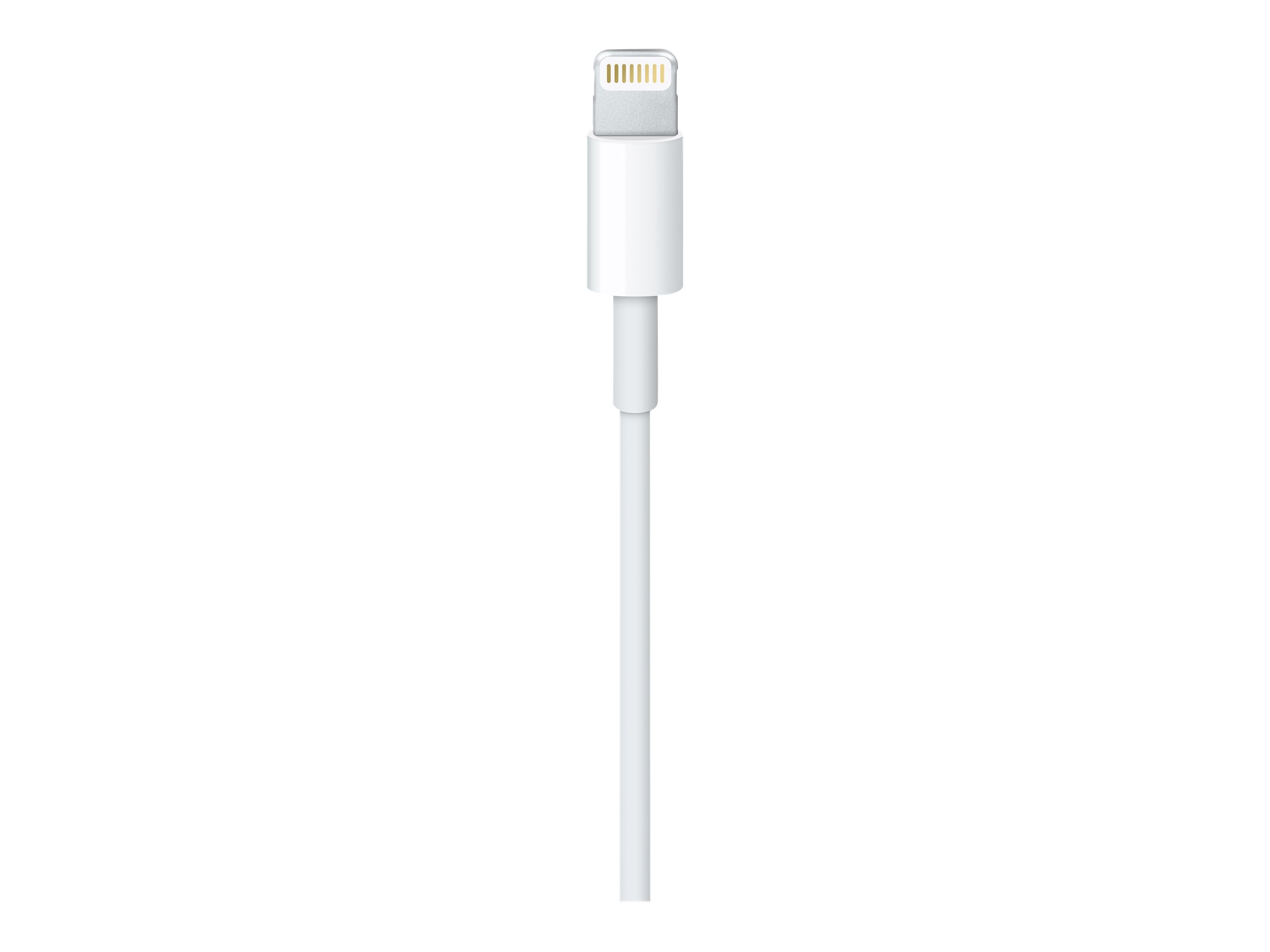 Apple Lightning auf USB Kabel 1,0m (retail)