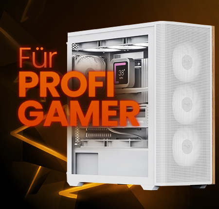 Profi PC