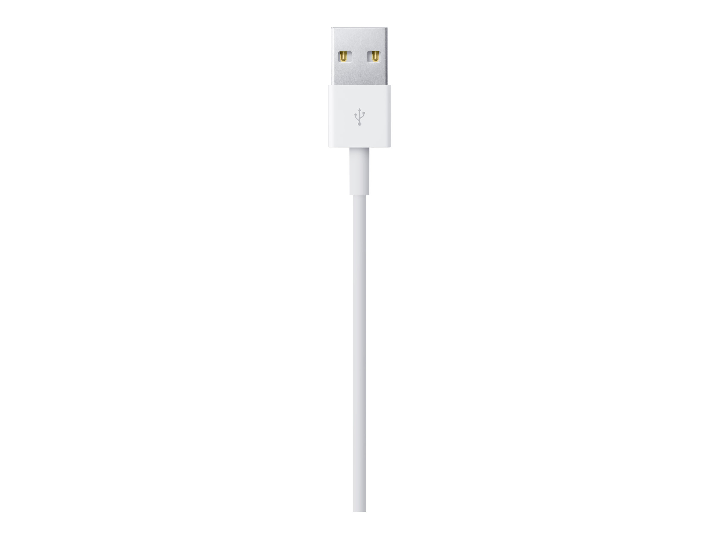 Apple Lightning auf USB Kabel 0,5m (retail)