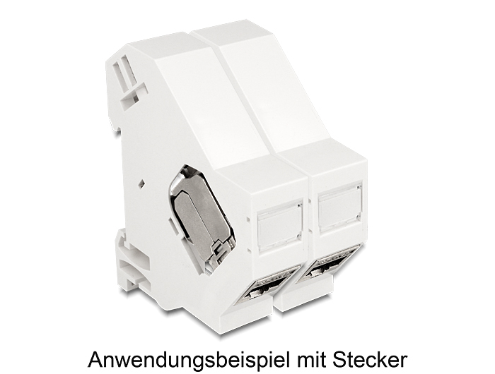 Delock Keystone Mounting for DIN rail shielded