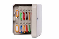 MAUL Schlüsselkasten 40 Schlüssel, abschließbar grau