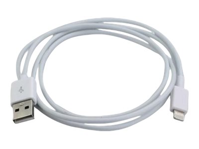 IC Intracom TECHly - Lightning-Kabel - Lightning männlich bis USB männlich - 1 m - weiß - für Apple iPad/iPhone/iPod (Lightning)