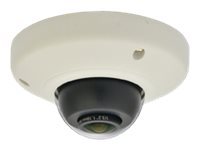 LevelOne FCS-3092 - Panoramakamera - Kuppel - vandalismusgeschützt