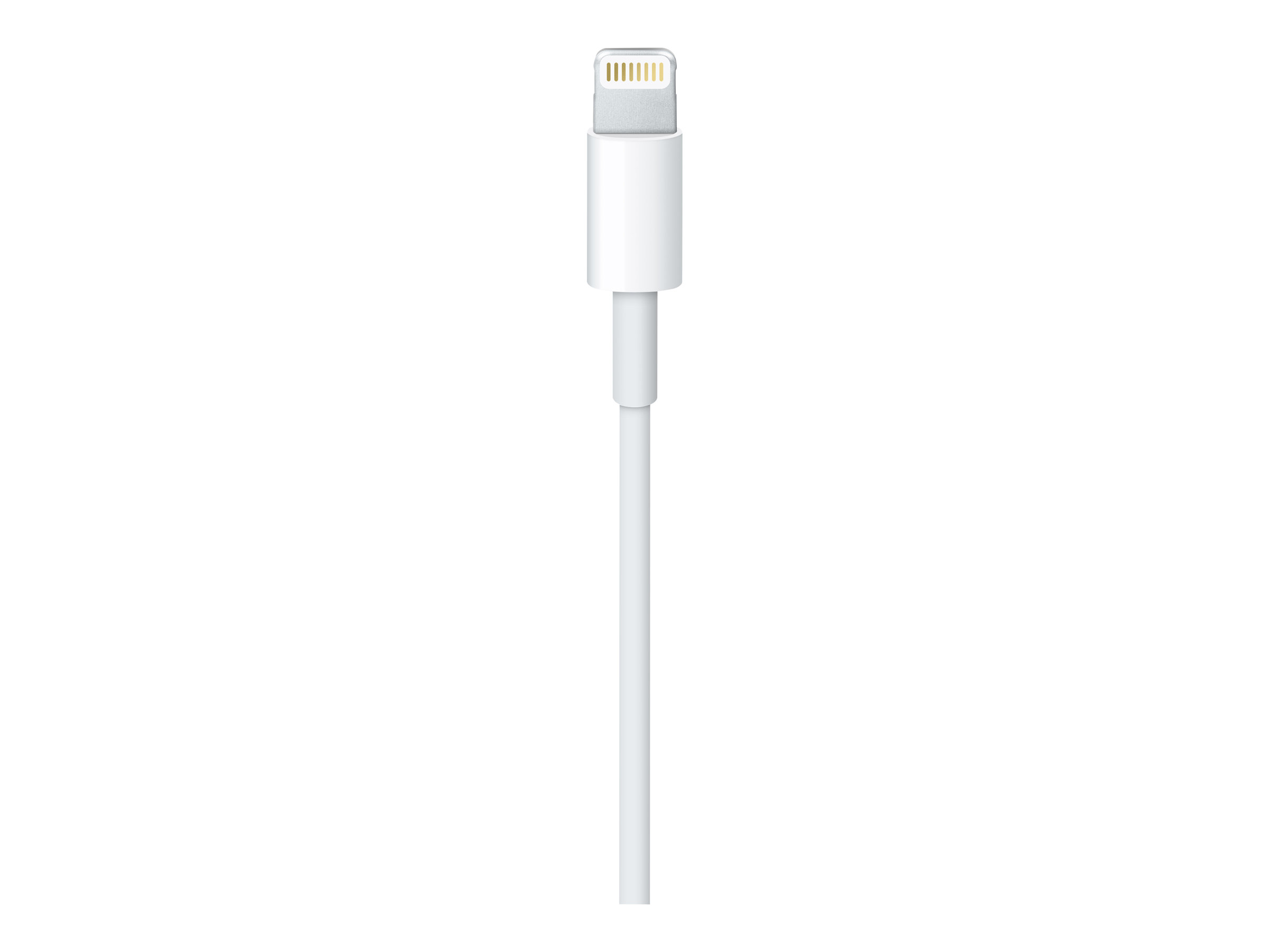 Apple Lightning auf USB Kabel 0,5m (retail)