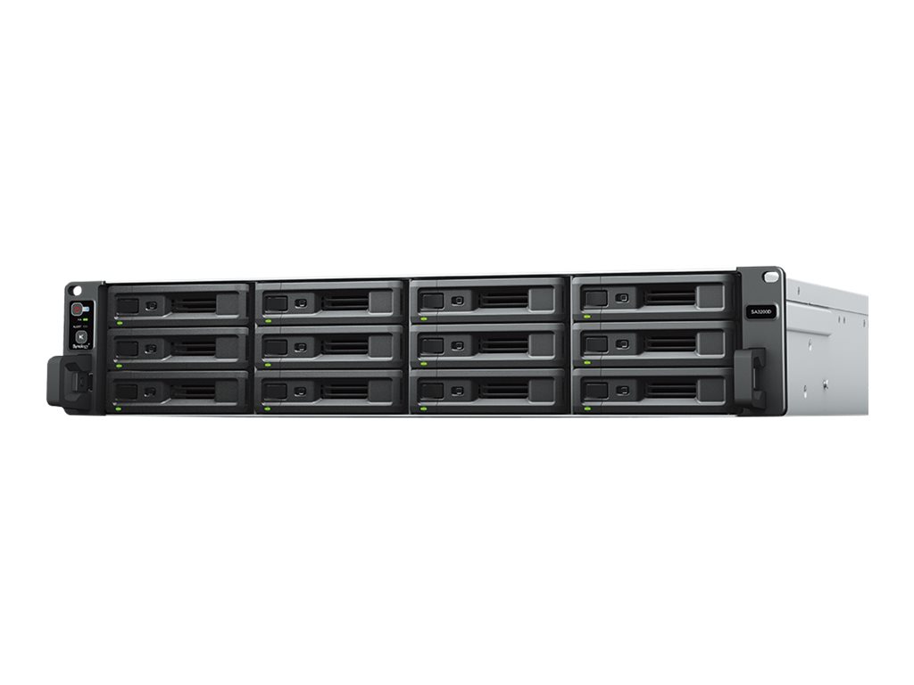 SA3200D - NAS-Server - 12 Schächte - Rack