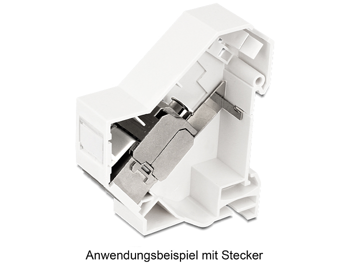 Delock Keystone Mounting for DIN rail shielded