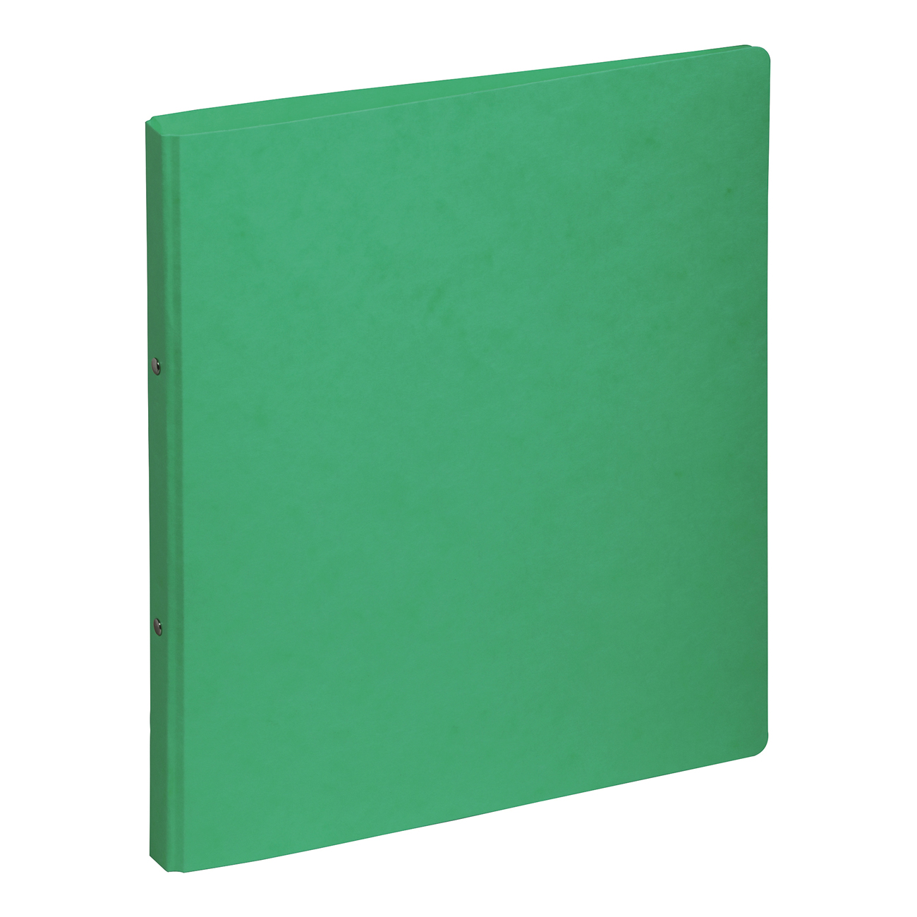 Ringbuch – A4 – Grün