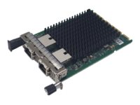 Fujitsu PLAN EP Intel X710-T2L - Netzwerkadapter