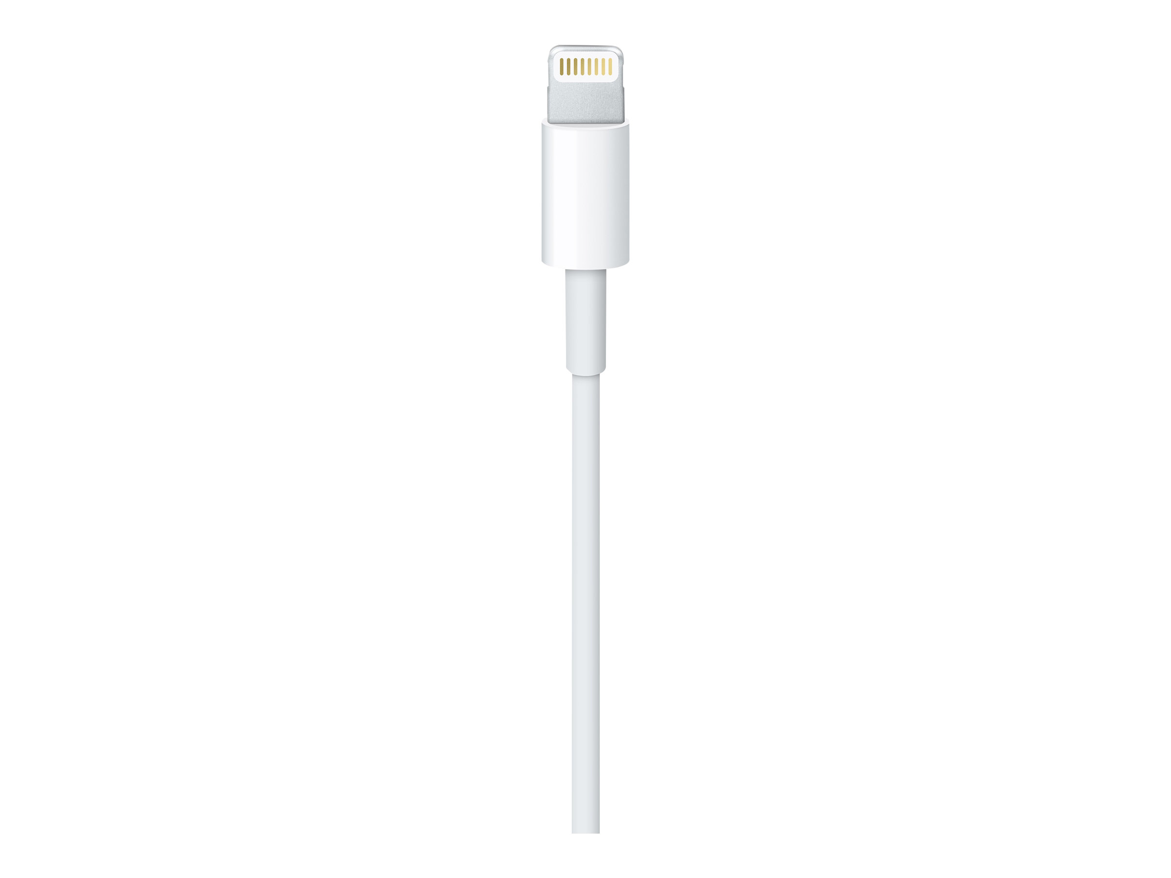 Apple Lightning auf USB Kabel 2,0m retail