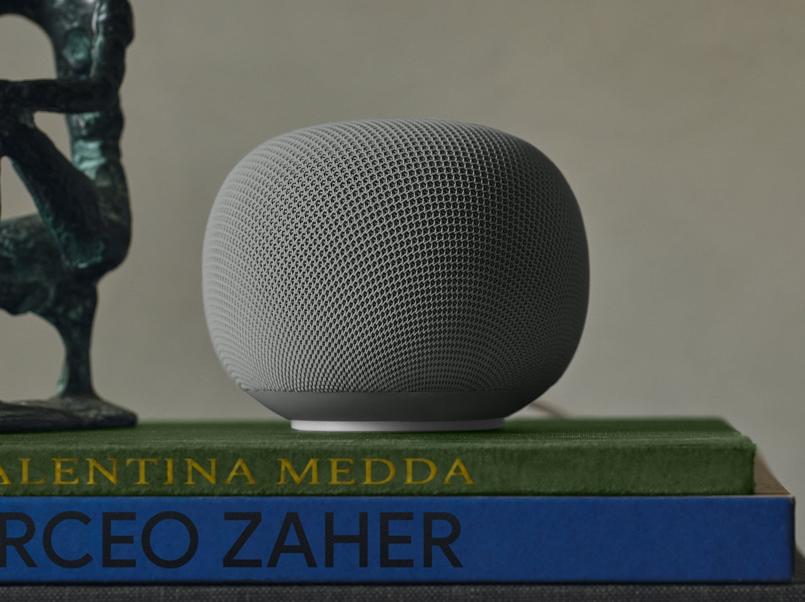 Home Smart Speaker Grau mit Google Assistant