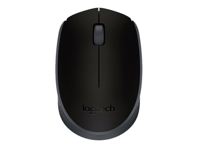 Logitech M171 - Maus - rechts- und linkshändig - kabellos - 2.4 GHz - kabelloser Empfänger (USB)