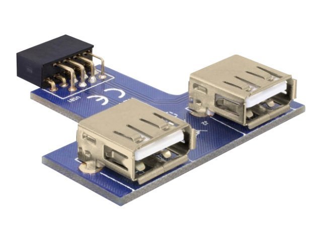 Delock USB Pinheader - USB-Adapter (W) bis USB (W)