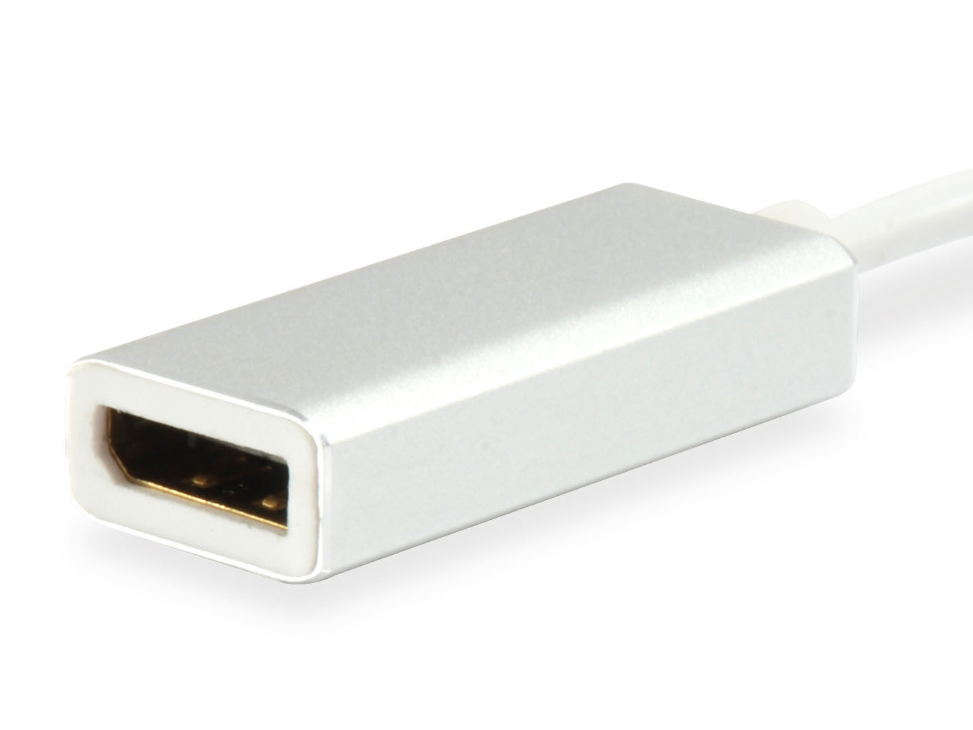 equip Externer Videoadapter - USB-C - DisplayPort