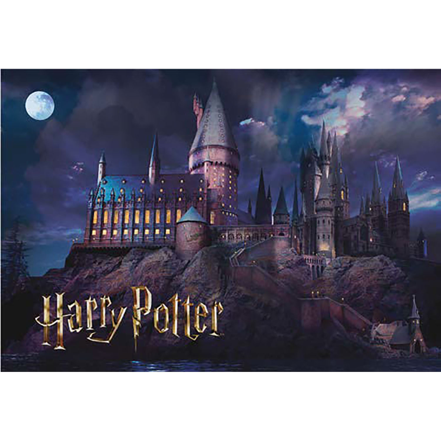 ThumbsUp! Puzzle Harry Potter Hogwarts Schule    1000Teile