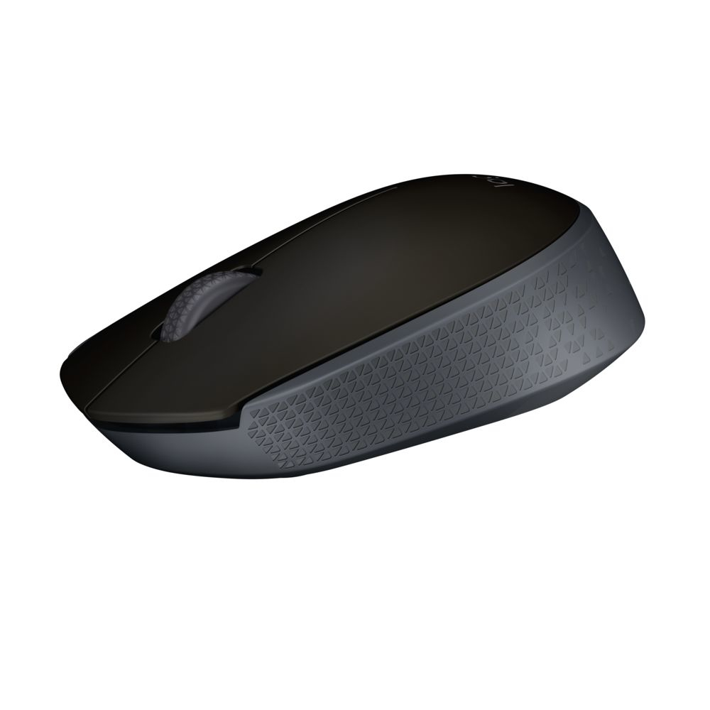 Logitech M171 - Maus - rechts- und linkshändig - kabellos - 2.4 GHz - kabelloser Empfänger (USB)