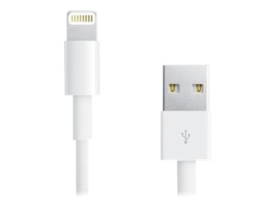 IC Intracom TECHly - Lightning-Kabel - Lightning männlich bis USB männlich - 1 m - weiß - für Apple iPad/iPhone/iPod (Lightning)